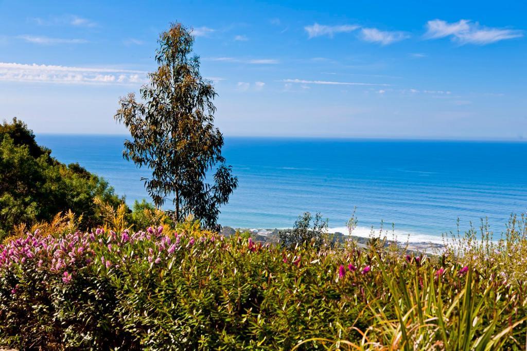 Beacon Point Ocean View Villas Skenes Creek Eksteriør bilde